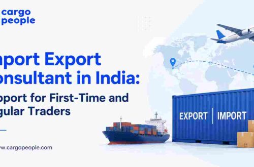 Import Export Consultant in India: Support for First-Time and Regular Traders