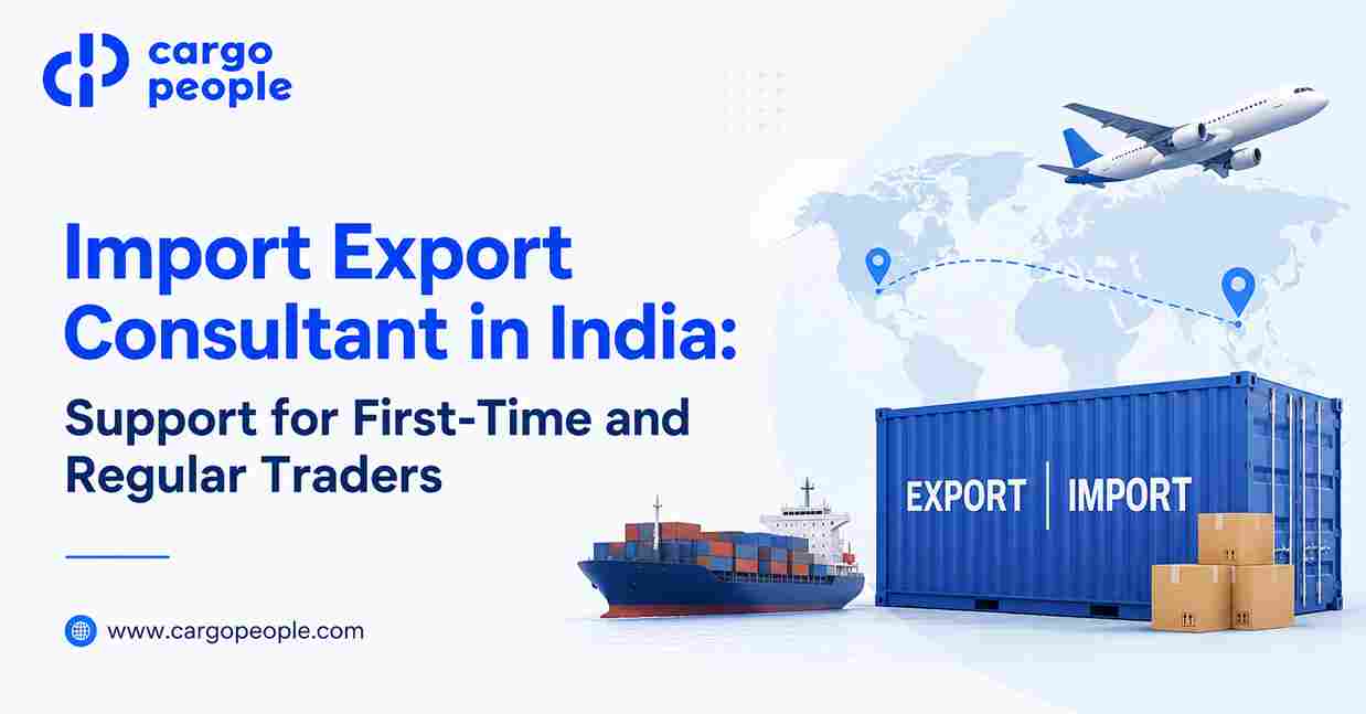 Import Export Consultant in India: Support for First-Time and Regular Traders