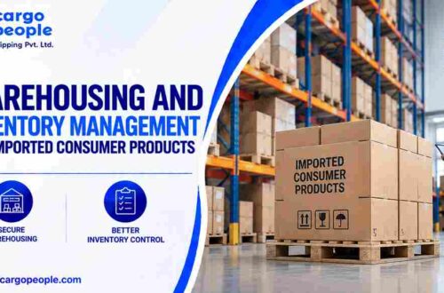Warehousing and Inventory Management for Imported Consumer Products